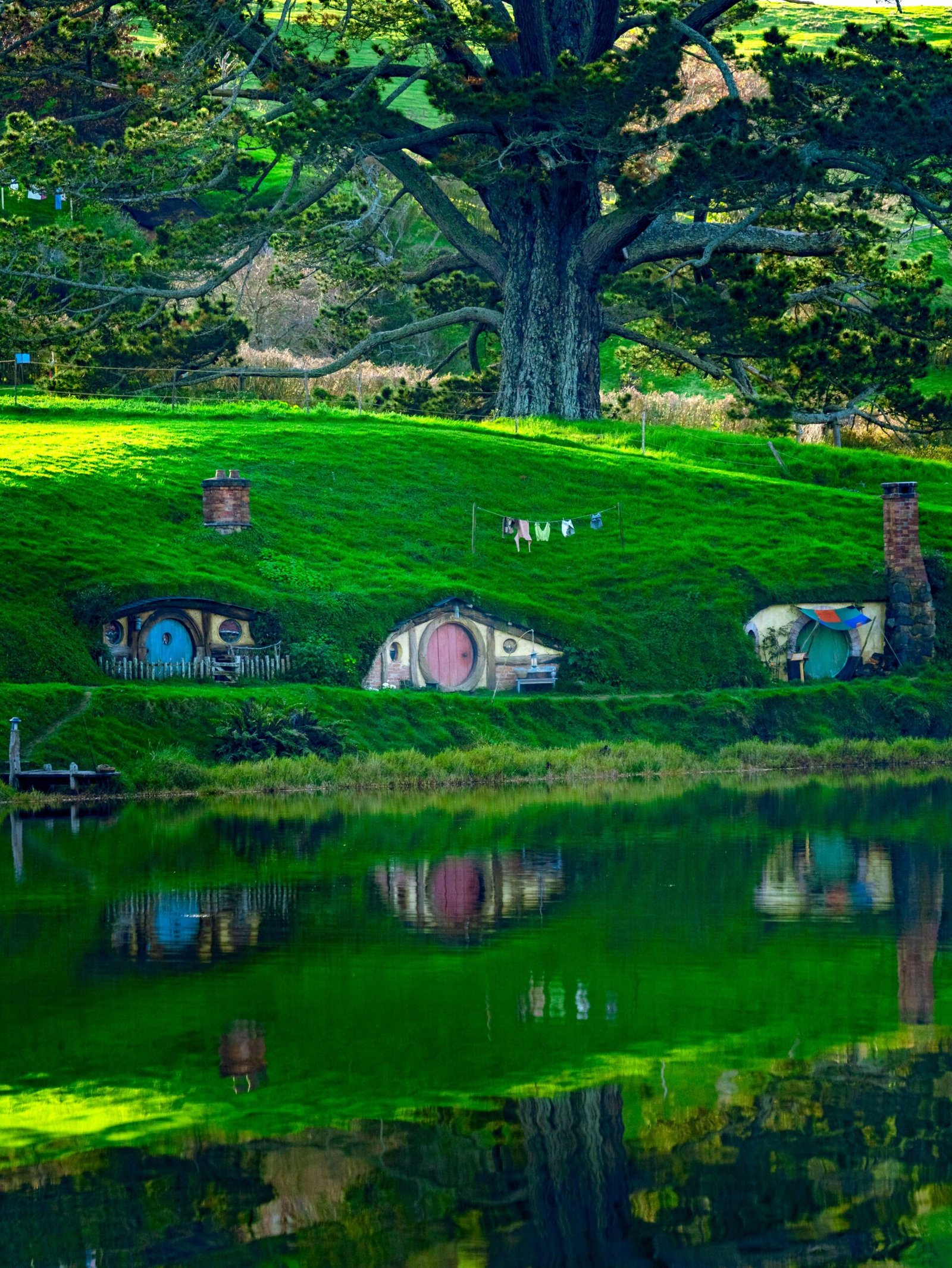 Hobbit Holes